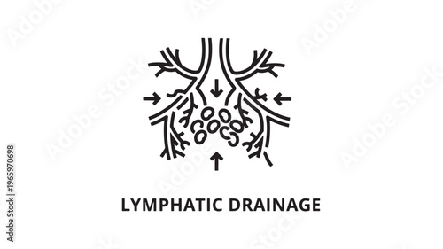 Minimalist black and white line art depicting lymphatic drainage massage technique. Ideal for health blogs, wellness guides, medical illustrations, and alternative therapy content.