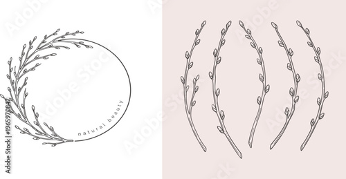 Graceful Botanical Illustration Featuring Pussy Willow Sprigs and a Branch Wreath, Capturing the Essence of Spring Awakening