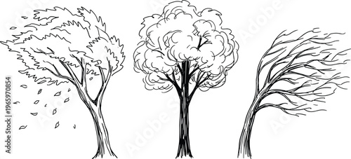 Three Trees Depicting Different Stages of Growth and Wind Resistance in a Stylized Sketch