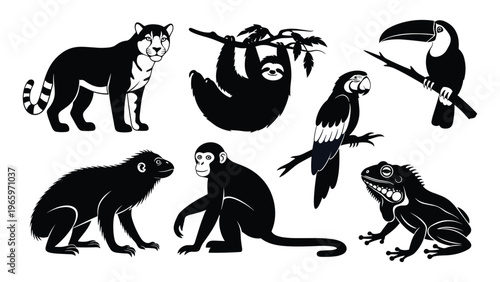 Tropical rainforest animals silhouette vector jaguar sloth toucan monkey parrot iguana capybara illustration for biodiversity education