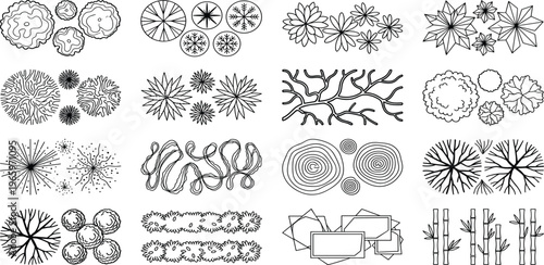 Detailed black and white illustration of various tree species and shrubs forming a forest border or landscape design element, perfect for architectural plans and environmental concepts