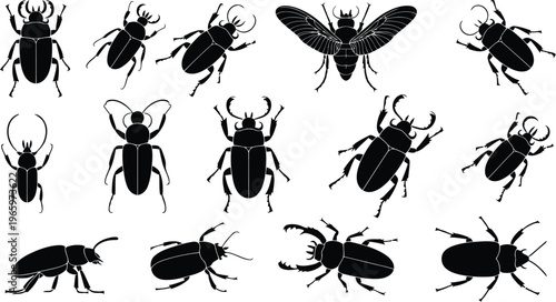 Diverse set of black beetle silhouettes in different shapes for graphic design