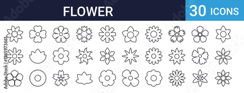 Flower Icons Set of 30 Thin Line Vector Botanical Collection