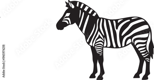 Black and white zebra silhouette standing alone