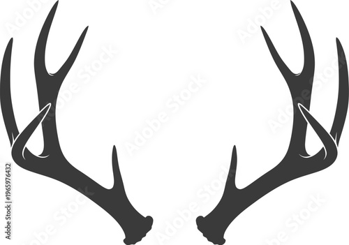 Vector graphic illustration of black deer antlers on white background