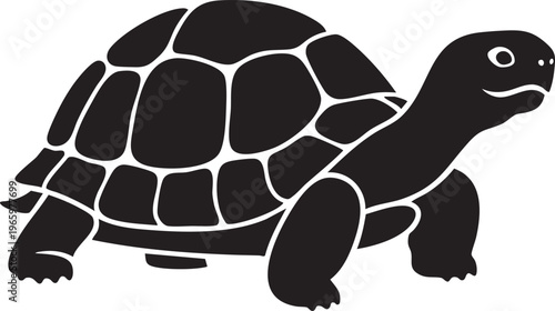 Silhouetted black and dark gray terrestrial tortoise shell