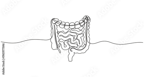 Human Digestion one continuous line art drawing, Digestive one hand drawn medical concept,one Continuous Line Drawing of Intestines Icon. Hand Drawn Symbol Vector Illustration,