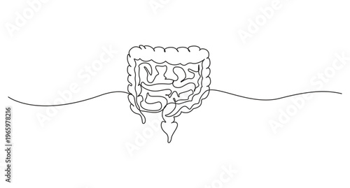Human Digestion one continuous line art drawing, Digestive one hand drawn medical concept,one Continuous Line Drawing of Intestines Icon. Hand Drawn Symbol Vector Illustration,