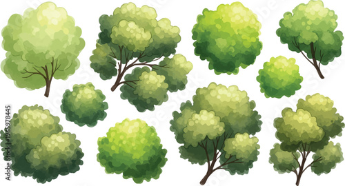 Watercolor green trees and bushes collection, set of 10 organic garden plant vector elements, lush forest foliage and shrubbery icons for landscape design and park maps isolated PNG with