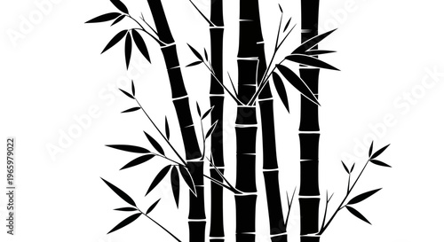 Elegant silhouette of bamboo stalks and leaves.
