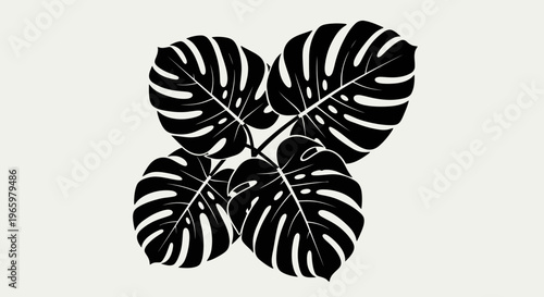 Monstera leaf silhouette central subject with tropical form.