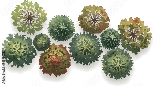 Watercolor architectural trees in plan view, set of 10 green and autumn foliage plant symbols for site mapping, top down landscape design elements for garden master plans isolated PNG with
