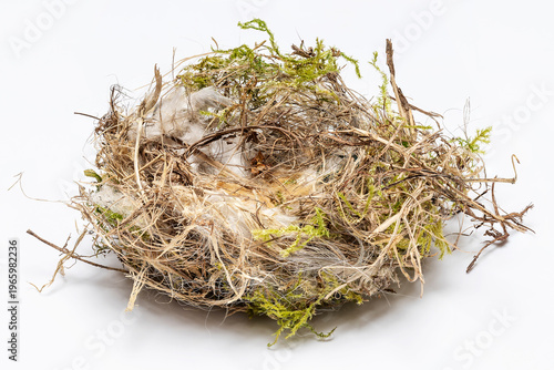 Close-up of a bird's nest on a white background