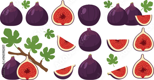 Collection of fresh fig fruits with slices, leaves and branches, flat vector illustration set isolated on light background