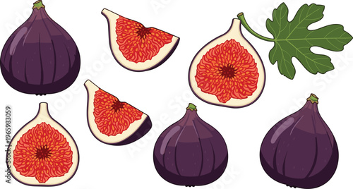 Fig fruit set with whole figs slices and leaf detailed juicy seeds organic food vector illustration collection