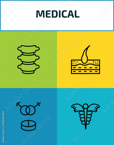 medical outline icon set. 4 linear vector for ui, web and mobile. thin line vertebra, epidermis, united heterosexual, caduceus icons.