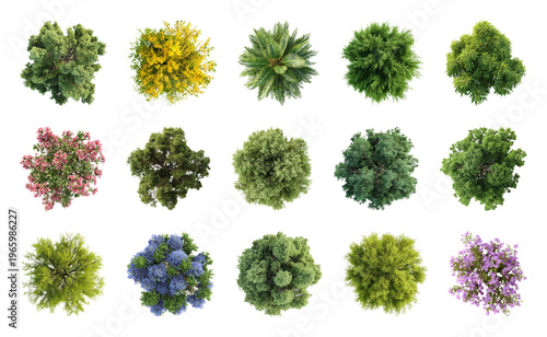 PNG Diverse vibrant tree canopy collection on transparent background