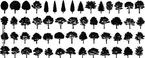 Large black silhouette collection of various deciduous and evergreen tree shapes isolated on white background for nature and landscape design.