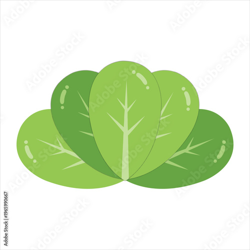 Minimal flat vector illustration of a bamboo shoot vegetable