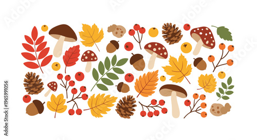 Collection of various autumn elements including colorful fall leaves, mushrooms, acorns, pine cones, and berries for seasonal decoration.