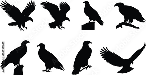 Eagle silhouettes vector set isolated on white background, flying and perched birds of prey for wildlife design, logo, tattoo, clipart elements