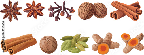 Aromatic spice collection with cinnamon sticks star anise cloves cardamom nutmeg and turmeric isolated vector illustration ingredient set