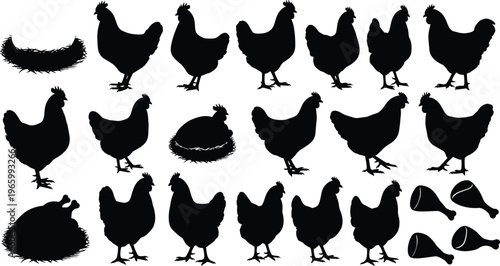 Chicken silhouette collection featuring farm hen, rooster, nest, egg, and poultry meat parts isolated on white background for agriculture vector.