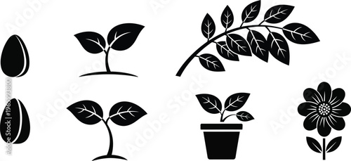 Collection of diverse black silhouette icons displays plant growth stages including seeds sprouting seedlings potted.