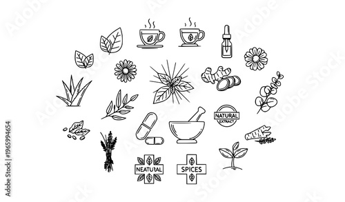 Herbal medicine outline icons set with natural remedies essential oils plants and wellness symbols vector