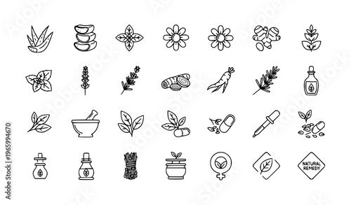 Medicinal herbs line icons set with natural healing plants aloe vera basil chamomile ginger outline vector collection