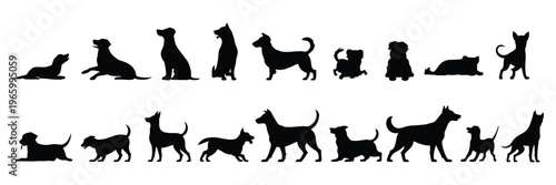 Group of dogs various poses vector silhouettes collection, set of different canine shapes including sitting, standing, running, and playing positions, minimal black design for logos, icons, and pet re