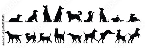 Group of dogs various poses vector silhouettes collection, diverse dog breeds illustrated in multiple actions and stances