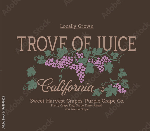 California Fruit Tee Shirt Design. Summer food fashion Graphics. vintage t-shirt design. hand drawing Grape Illustration. Sweet Harvest Grapes Slogan text prints for Men's Women's and Kid's Clothing.