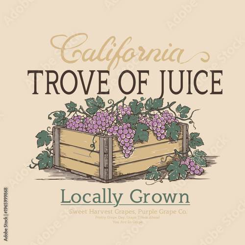 Vintage Grapes graphic Artwork. California Trove Of Juice Slogan Typography. Summer Food Fashion Graphics. Fruit tee shirt design. hand made t-shirt design. women's girl's print design.