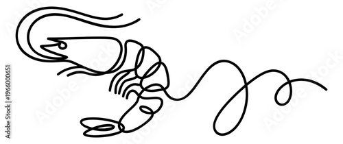 Line art illustration of a shrimp depicting a continuous single line drawing for seafood and culinary design
