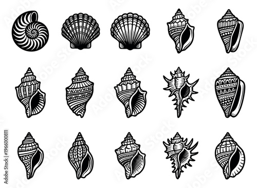 Engraving icon set of 15 sea shells featuring nautilus, scallop, conch and spiral mollusks for marine design