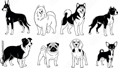 Black and White Dog Breeds Set with Border Collie, Pug, Shiba Inu, and More