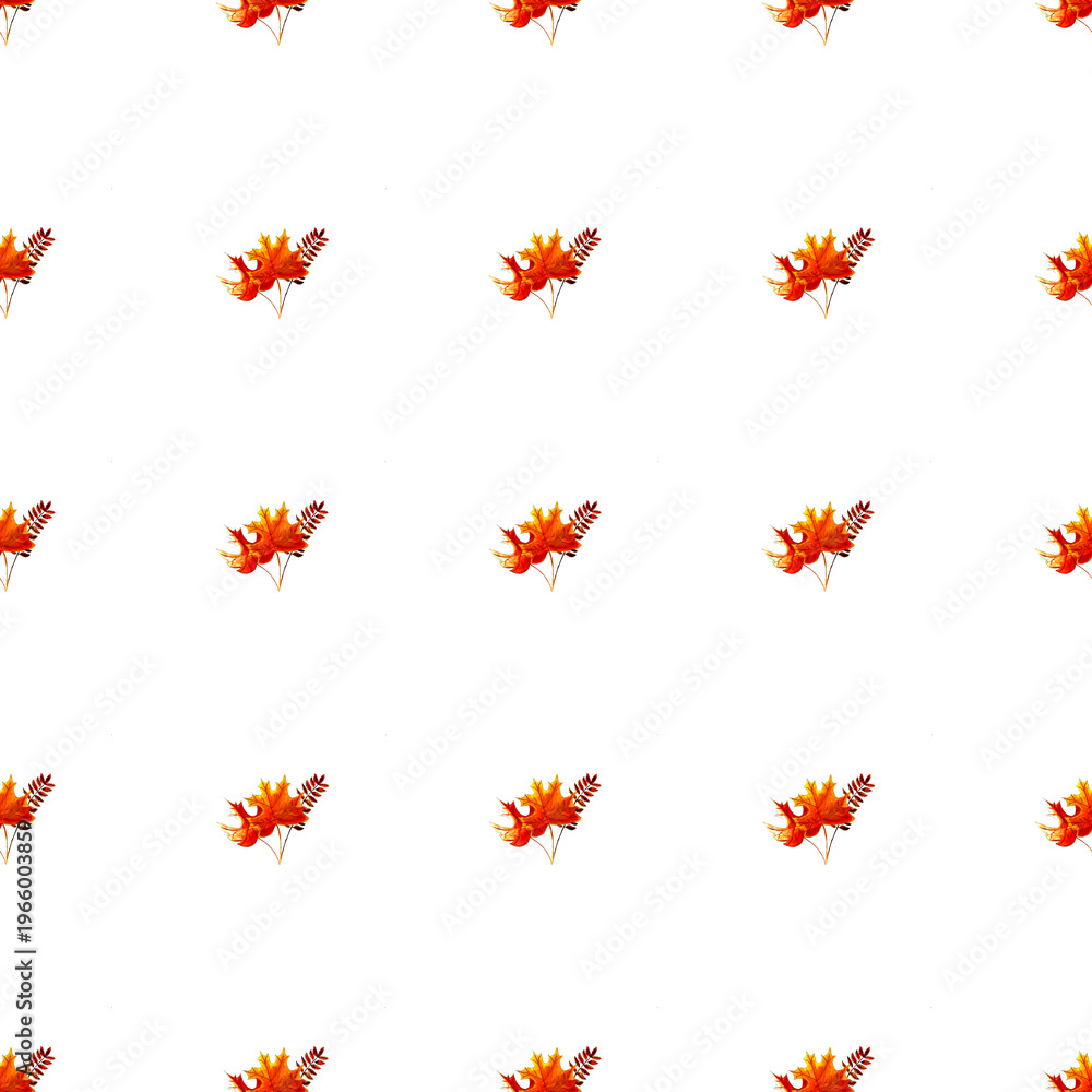Obraz premium Seamless pattern with watercolor autumn leaves on transparent background. Features orange maple and rowan foliage in a minimalist grid layout. Hand-painted botanical illustration