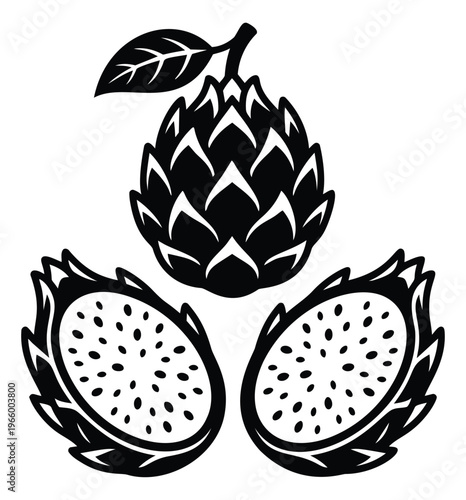 Woodcut illustration of dragon fruit and artichoke depicting whole and sliced exotic fruits for food and beverage design