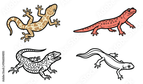 Mixed style icon set of 4 lizards featuring gecko, newt, iguana and skink characters for reptile and nature design