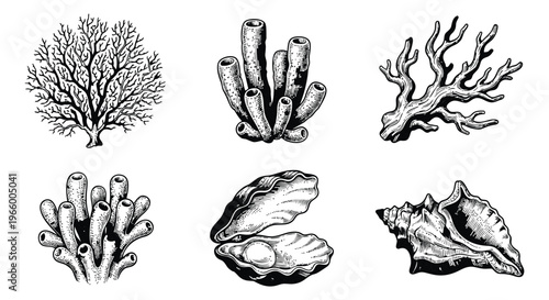 Engraving icon set of 6 ocean elements featuring coral reef, sea sponge, seashell and conch for marine design