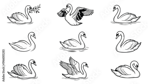 Line art icon set of 9 elegant swans featuring various poses and wing positions for nature and wedding design