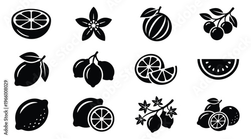 Silhouette icon set of 12 citrus fruits featuring lemon, lime, watermelon and star anise for food and beverage design