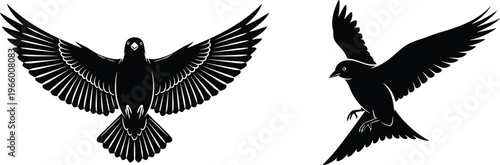 Bird silhouettes in flight illustration, black vector design, flying birds artwork, feather details, wings spread, nature symbol, wildlife icon, graceful motion