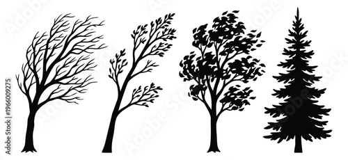 Silhouette set of 4 trees featuring bare deciduous, leafy and evergreen pine varieties for nature and seasonal design