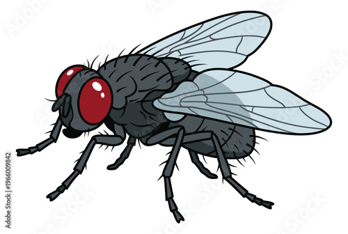 Cartoon illustration of a housefly depicting a detailed insect with red compound eyes for nature and pest control design