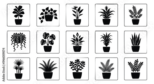 Silhouette icon set of 15 potted houseplants featuring tropical foliage, ferns and succulents for botanical design