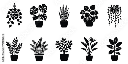 Silhouette icon set of 10 houseplants featuring monstera, snake plant, fern, pothos and tropical foliage for botanical design