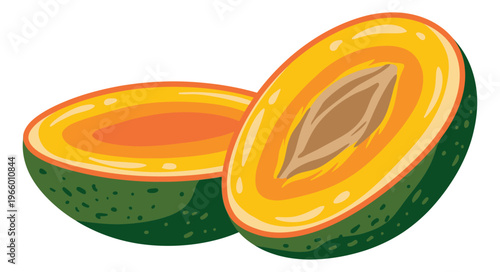 Cartoon illustration of sliced papaya depicting cross section with seed and orange flesh for food and nutrition design