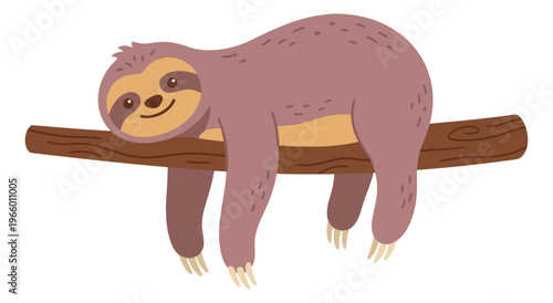 Cartoon illustration of a cute sloth depicting a lazy animal resting on a tree branch for children and nature design